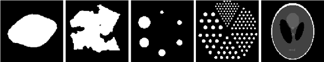 Figure 1 for Tomographic Reconstruction and Regularisation with Search Space Expansion and Total Variation