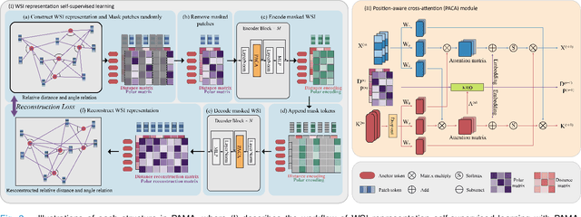 Figure 2 for Pan-cancer Histopathology WSI Pre-training with Position-aware Masked Autoencoder
