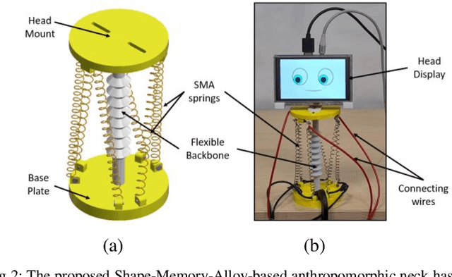 Figure 2 for An anthropomorphic continuum robotic neck actuated by SMA spring-based multipennate muscle architecture
