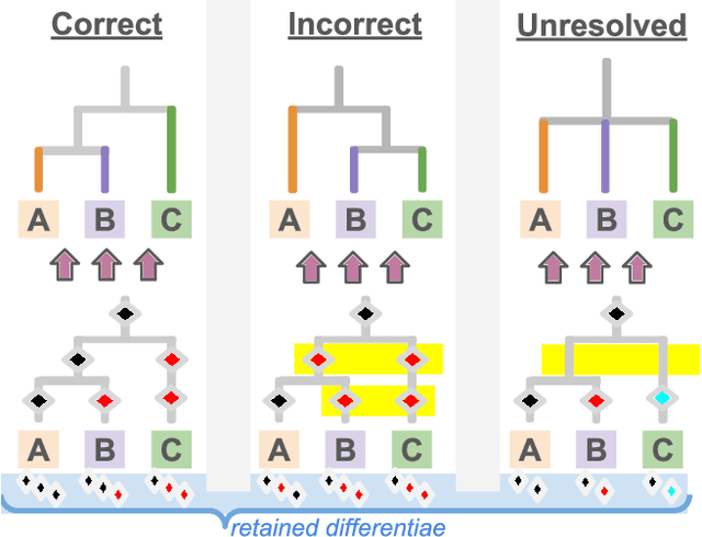 Figure 2 for A Guide to Tracking Phylogenies in Parallel and Distributed Agent-based Evolution Models