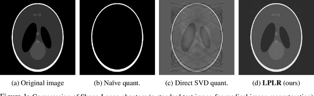 Figure 1 for Matrix Compression via Randomized Low Rank and Low Precision Factorization
