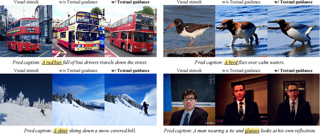 Figure 1 for Brain-Streams: fMRI-to-Image Reconstruction with Multi-modal Guidance