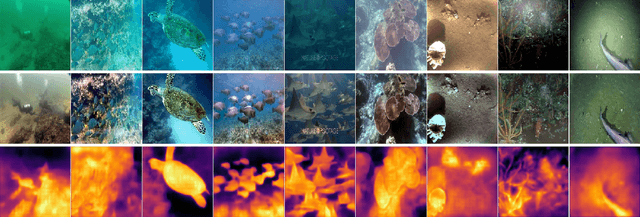 Figure 1 for A Physical Model-Guided Framework for Underwater Image Enhancement and Depth Estimation
