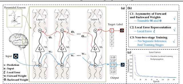 Figure 3 for Dendritic Localized Learning: Toward Biologically Plausible Algorithm
