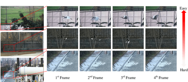 Figure 1 for Co-Paced Learning Strategy Based on Confidence for Flying Bird Object Detection Model Training