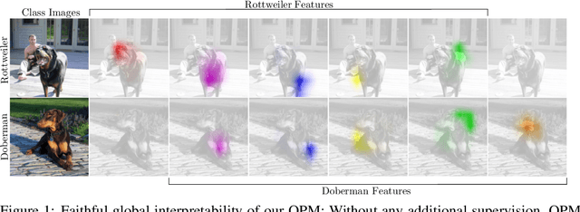 Figure 1 for QPM: Discrete Optimization for Globally Interpretable Image Classification