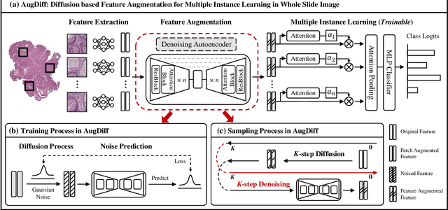 Figure 3 for AugDiff: Diffusion based Feature Augmentation for Multiple Instance Learning in Whole Slide Image