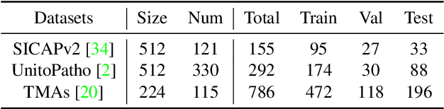 Figure 2 for AugDiff: Diffusion based Feature Augmentation for Multiple Instance Learning in Whole Slide Image
