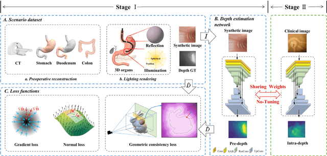 Figure 1 for A geometry-aware deep network for depth estimation in monocular endoscopy