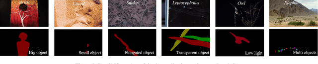 Figure 2 for MSVCOD:A Large-Scale Multi-Scene Dataset for Video Camouflage Object Detection