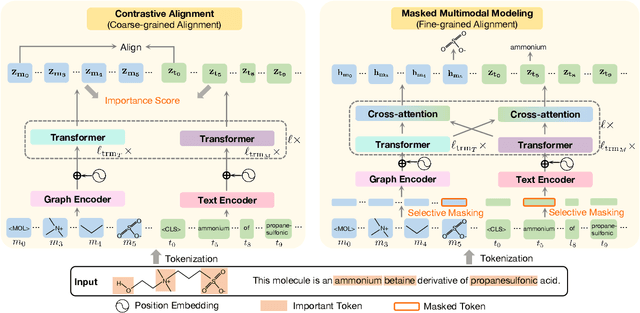 Figure 3 for FineMolTex: Towards Fine-grained Molecular Graph-Text Pre-training