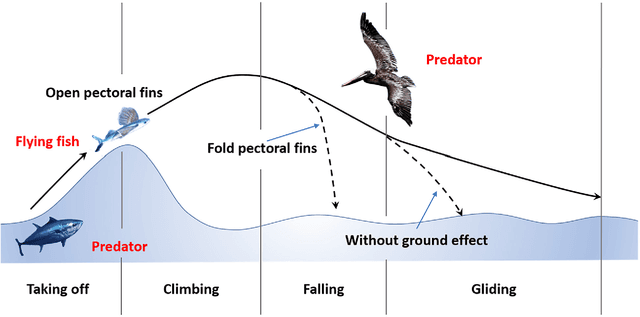 Figure 1 for Bionic Collapsible Wings in Aquatic-aerial Robot