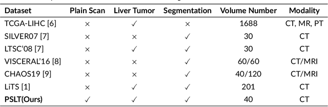 Figure 1 for YNetr: Dual-Encoder architecture on Plain Scan Liver Tumors