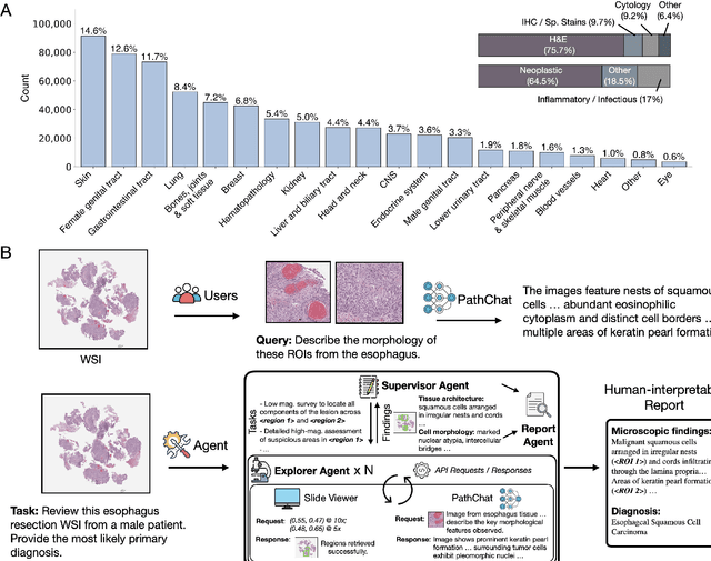 Figure 1 for Evidence-based diagnostic reasoning with multi-agent copilot for human pathology