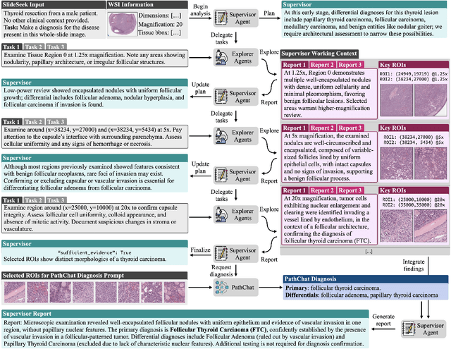 Figure 4 for Evidence-based diagnostic reasoning with multi-agent copilot for human pathology