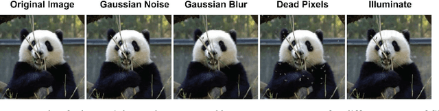 Figure 3 for Reinforcement Learning Platform for Adversarial Black-box Attacks with Custom Distortion Filters