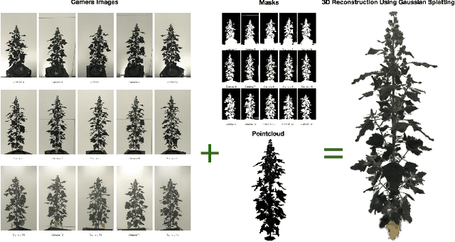 Figure 1 for GrowSplat: Constructing Temporal Digital Twins of Plants with Gaussian Splats
