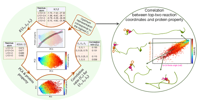 Figure 1 for Protein Structure-Function Relationship: A Kernel-PCA Approach for Reaction Coordinate Identification