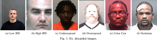 Figure 1 for Peepers & Pixels: Human Recognition Accuracy on Low Resolution Faces