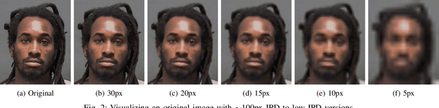 Figure 2 for Peepers & Pixels: Human Recognition Accuracy on Low Resolution Faces