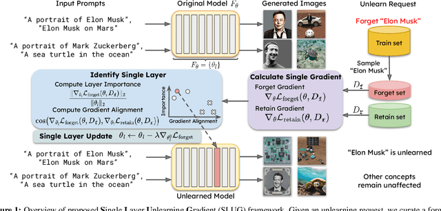 Figure 1 for Single Layer Single Gradient Unlearning