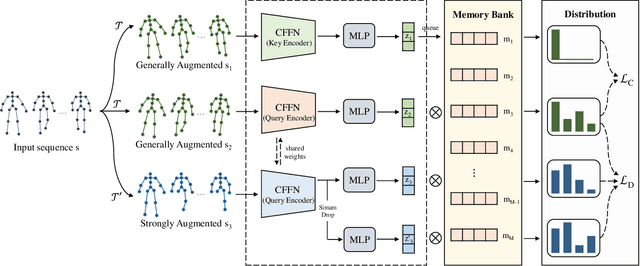 Figure 2 for Self-supervised Gait-based Emotion Representation Learning from Selective Strongly Augmented Skeleton Sequences