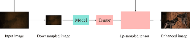 Figure 1 for Advancements and Trends in Ultra-High-Resolution Image Processing: An Overview