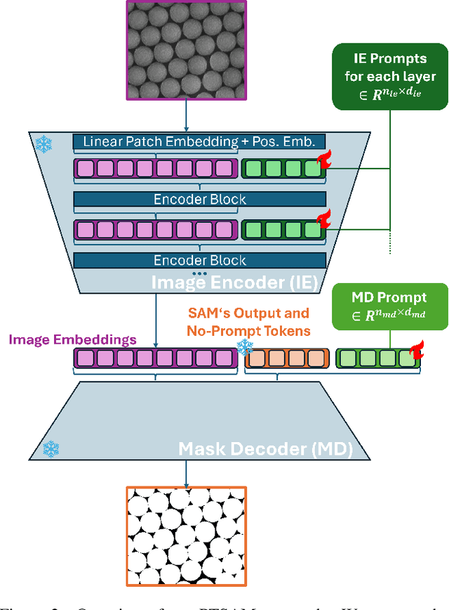 Figure 3 for Prompt-Tuning SAM: From Generalist to Specialist with only 2048 Parameters and 16 Training Images