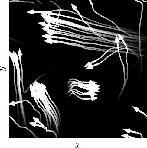 Figure 1 for Model-free learning of probability flows: Elucidating the nonequilibrium dynamics of flocking