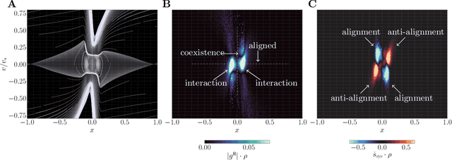 Figure 2 for Model-free learning of probability flows: Elucidating the nonequilibrium dynamics of flocking