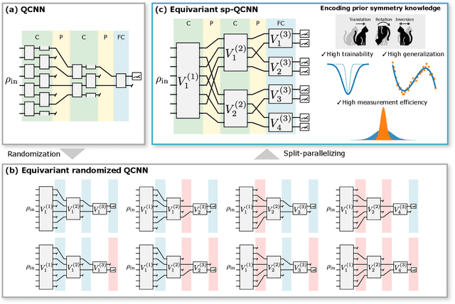 Figure 1 for Resource-efficient equivariant quantum convolutional neural networks