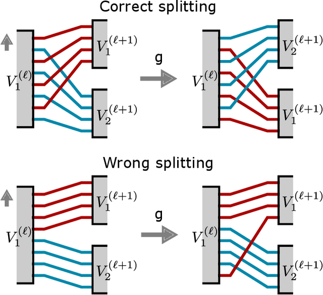 Figure 2 for Resource-efficient equivariant quantum convolutional neural networks
