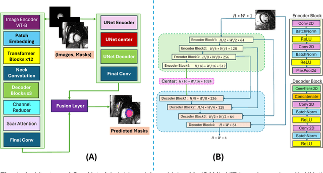 Figure 1 for ScarNet: A Novel Foundation Model for Automated Myocardial Scar Quantification from LGE in Cardiac MRI