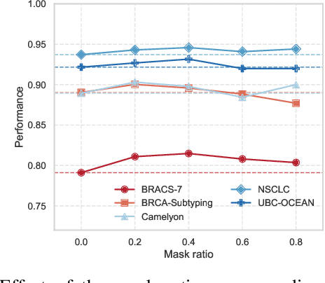 Figure 2 for MambaMIL+: Modeling Long-Term Contextual Patterns for Gigapixel Whole Slide Image