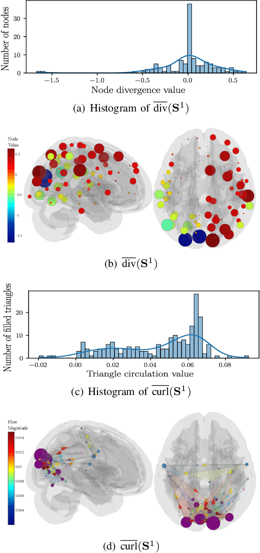 Figure 1 for Learning Higher-Order Interactions in Brain Networks via Topological Signal Processing