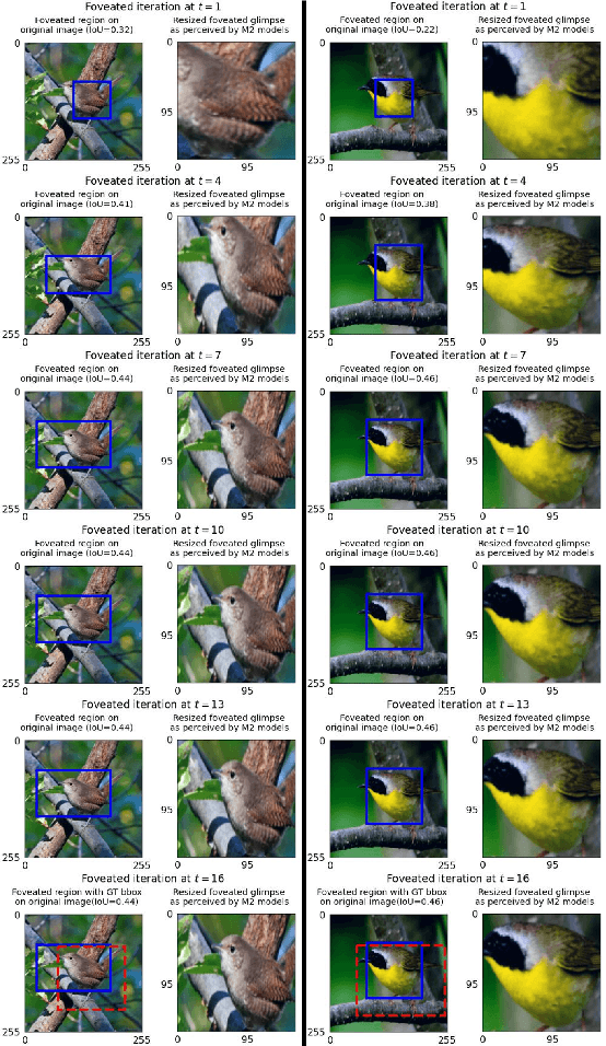 Figure 4 for Towards Two-Stream Foveation-based Active Vision Learning
