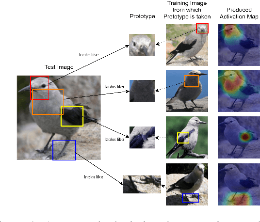 Figure 2 for This Reads Like That: Deep Learning for Interpretable Natural Language Processing