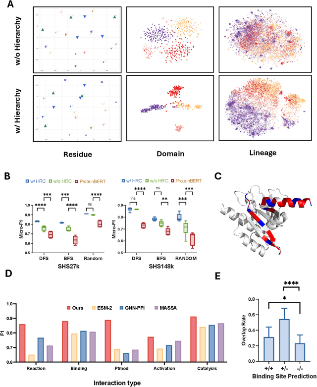 Figure 3 for Hierarchical Multi-Label Contrastive Learning for Protein-Protein Interaction Prediction Across Organisms