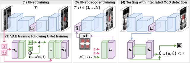 Figure 1 for Distribution-Aware Replay for Continual MRI Segmentation