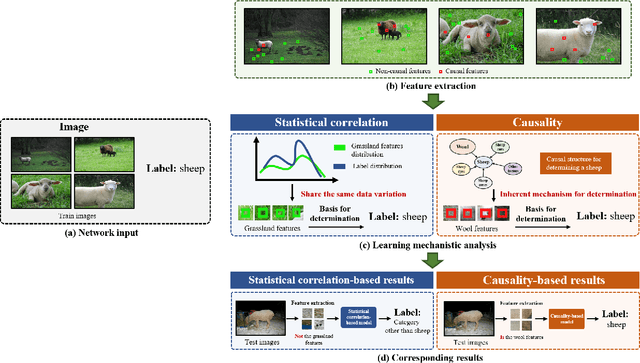 Figure 1 for Causal reasoning in typical computer vision tasks