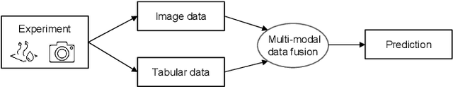 Figure 1 for Multi-Modal Data Fusion for Moisture Content Prediction in Apple Drying