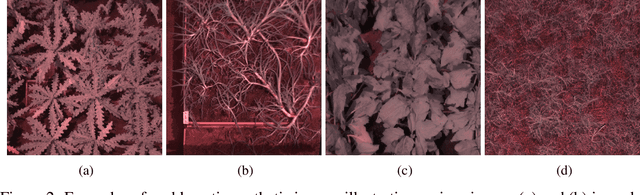 Figure 3 for Enhancing weed detection performance by means of GenAI-based image augmentation