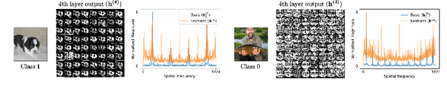 Figure 3 for LLS: Local Learning Rule for Deep Neural Networks Inspired by Neural Activity Synchronization
