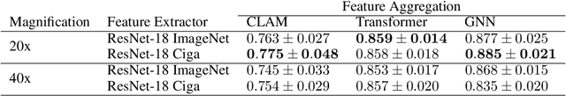 Figure 1 for On the calibration of neural networks for histological slide-level classification