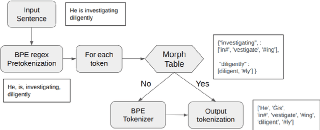 Figure 3 for MorphPiece : Moving away from Statistical Language Representation