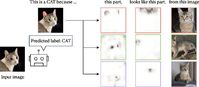 Figure 1 for COMIX: Compositional Explanations using Prototypes