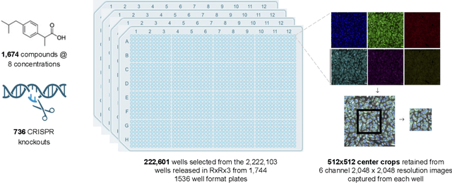 Figure 1 for RxRx3-core: Benchmarking drug-target interactions in High-Content Microscopy
