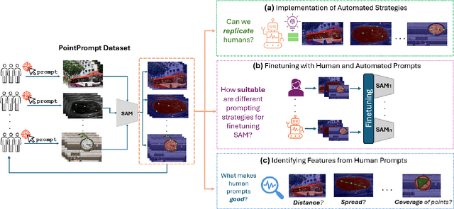 Figure 1 for Benchmarking Human and Automated Prompting in the Segment Anything Model