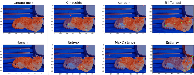 Figure 2 for Benchmarking Human and Automated Prompting in the Segment Anything Model
