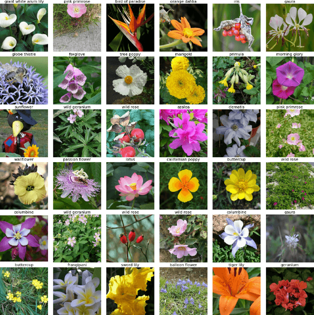 Figure 1 for DeepFlorist: Rethinking Deep Neural Networks and Ensemble Learning as A Meta-Classifier For Object Classification